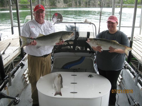 Nice Striped Bass